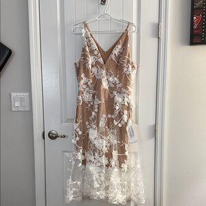 Dress the Population Tan and White Midi Dress